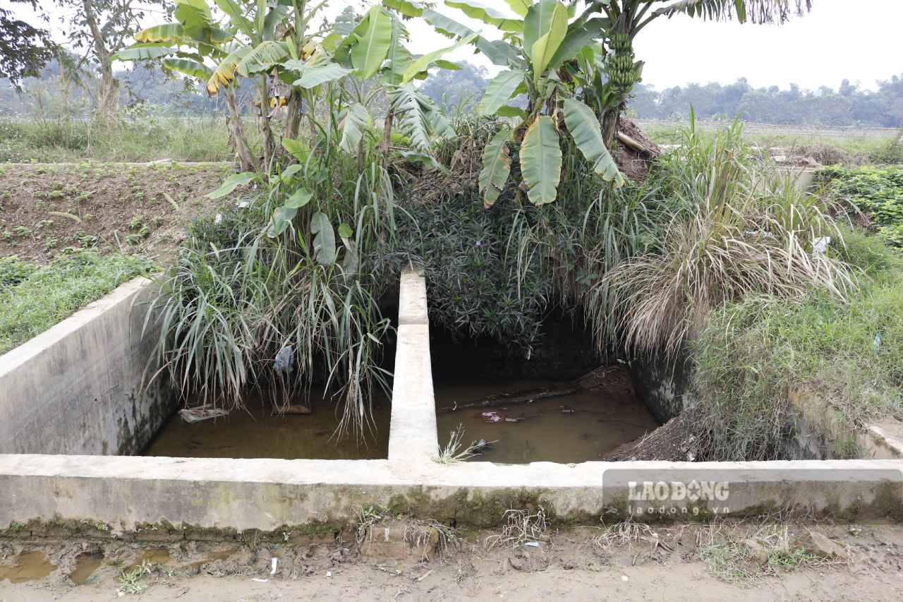 Người dân phải chật vật gánh nước xa hàng km để tưới tiêu cho vườn rau. Ảnh: Văn Đức