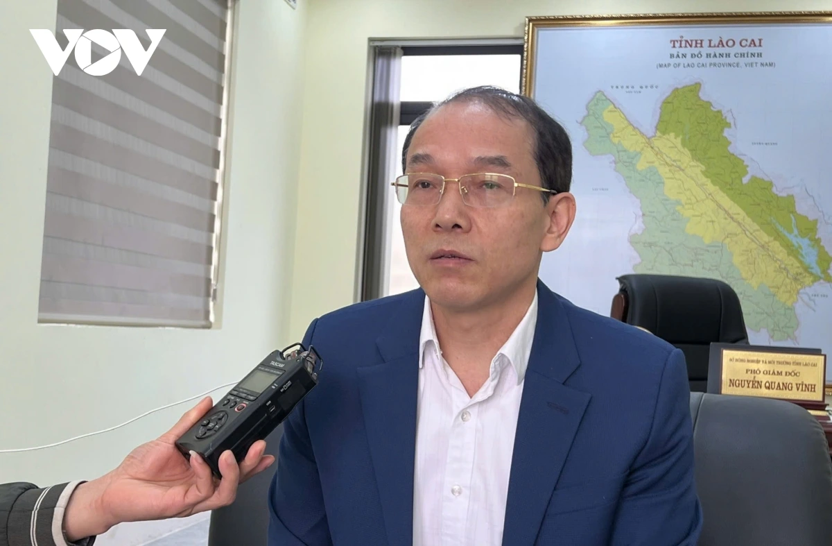 siết chặt công tác phòng chống cháy rừng mùa khô hanh tại lào cai hình ảnh 6 siet chat cong tac phong chong chay rung mua kho hanh tai lao cai hinh anh 6