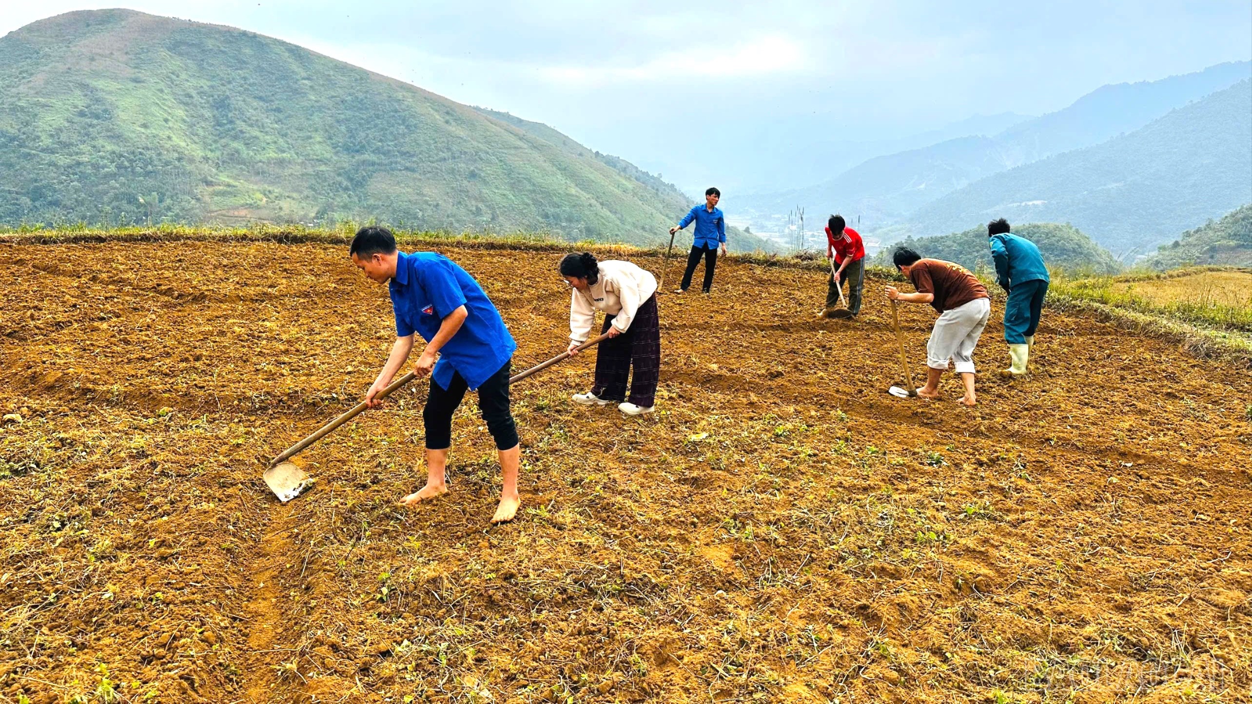 Đoàn viên, thanh niên xã Nậm Xé tham gia chung tay xây dựng nông thôn mới, cải tạo cánh đồng, trồng hoa trên đất ruộng. nam-xe-5053.jpg